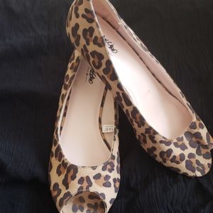 Animal Print  Shoes